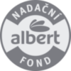 NFA logo